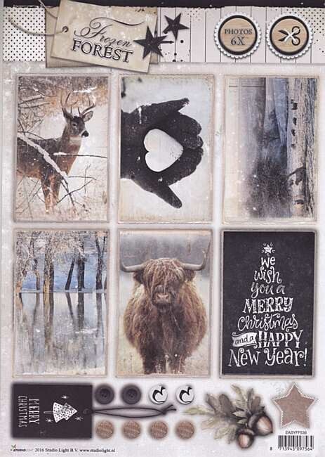 Stansvel Frozen Forest