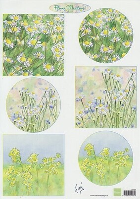 Knipvel flower meadows