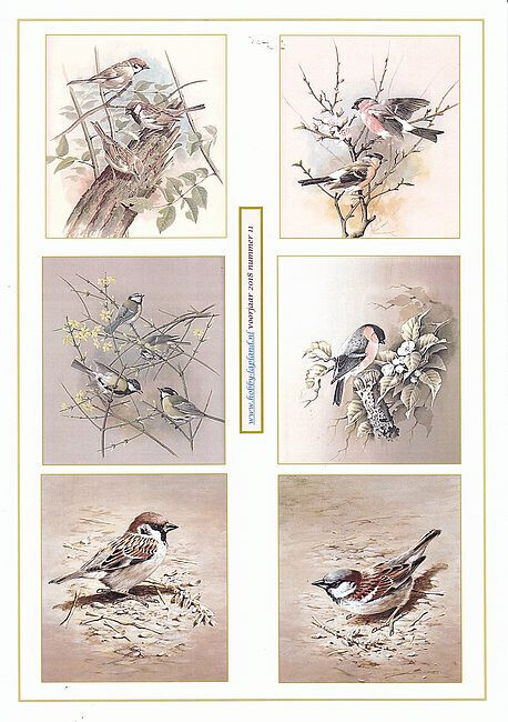 Knipvel Jellie design vogels