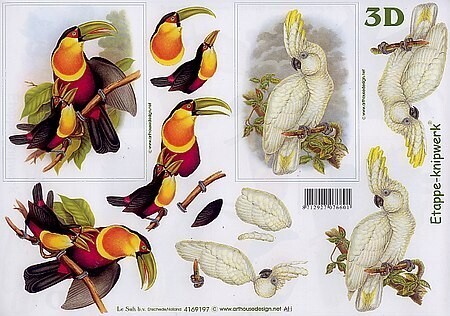 Knipvel  vogels