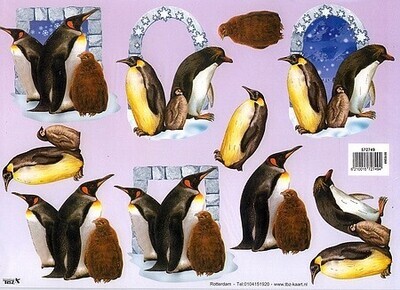 Knipvel dieren pinguin