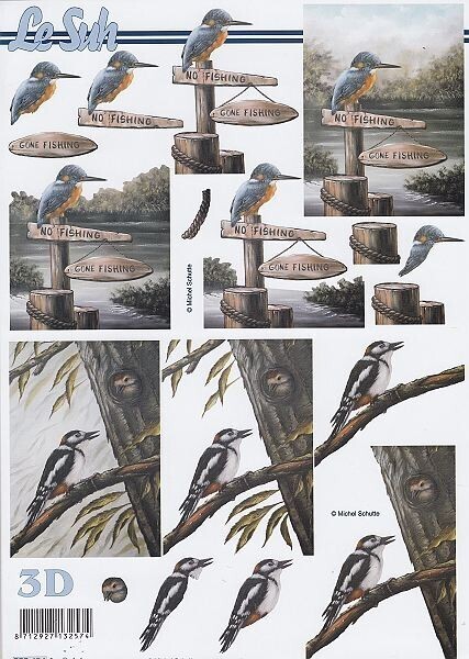 Knipvel  ijsvogel