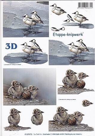 Knipvel vogels winter
