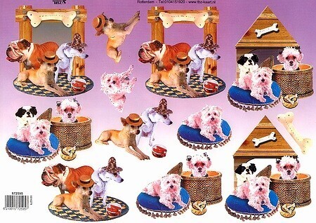 Knipvel  dieren honden