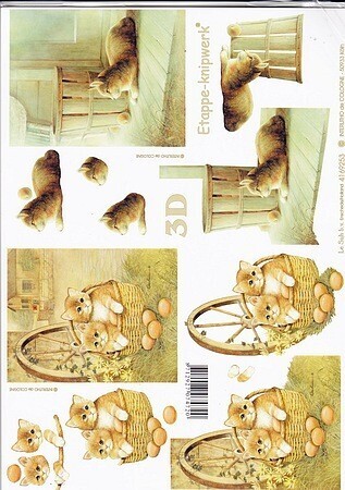 Knipvel  poes