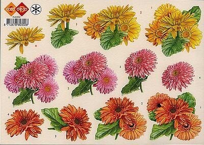 Knipvel bloemen