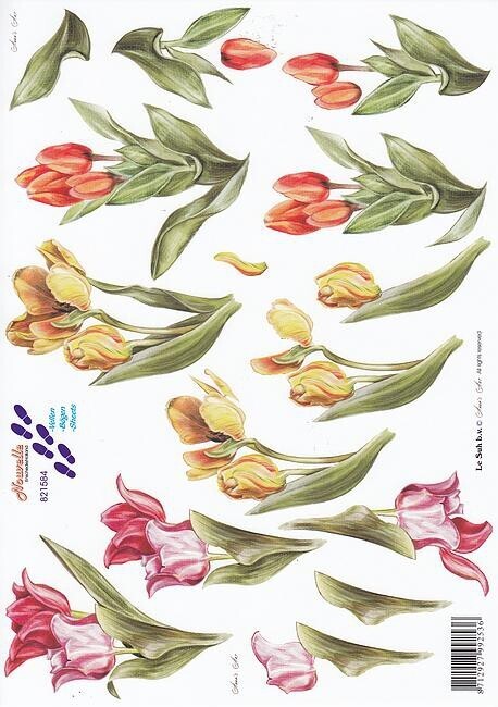 Knipvel tulp
