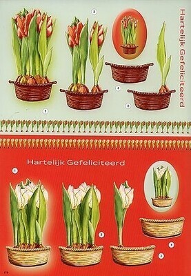 3d Bogen Blumen