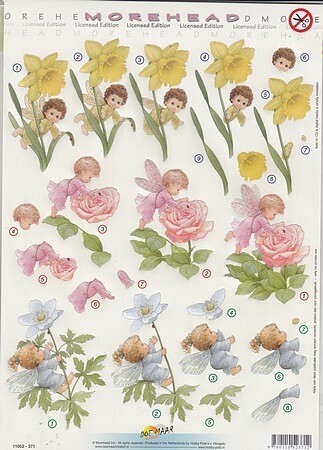 Stansvel Morehead bloemen baby