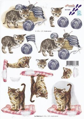 Knipvel poezen kittens