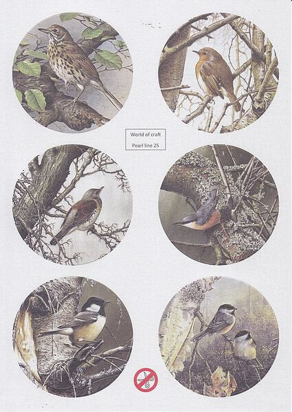 Stansvel world of craft pearls line vogels