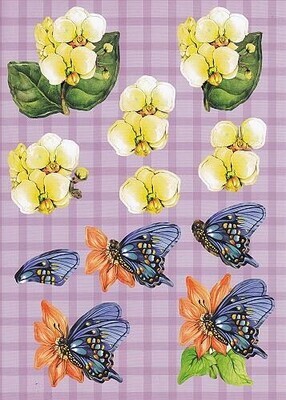 A Stansvel vlinders