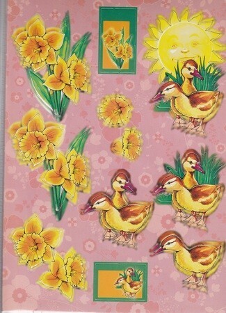 A Stansvel  eendjes
