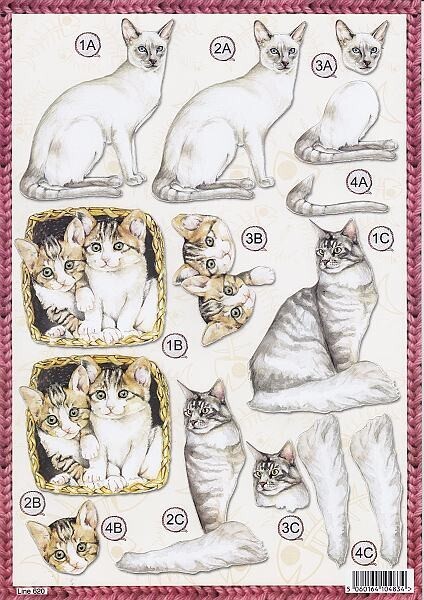 Stansvel Line poes kat