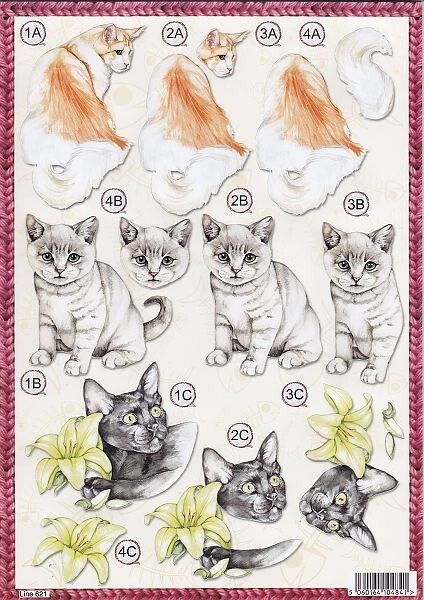 Stansvel Line poes kat