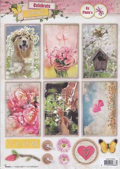Stansvel Celebrate spring