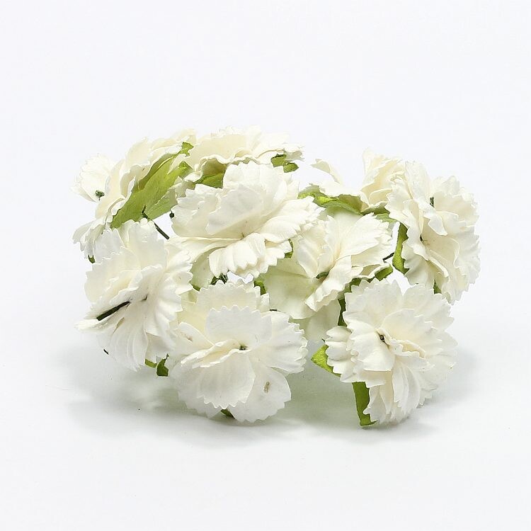 Flowers asters white