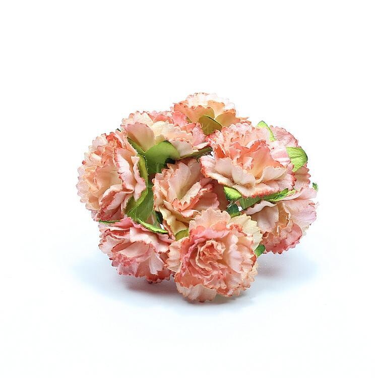 Blumen Astern rosarot