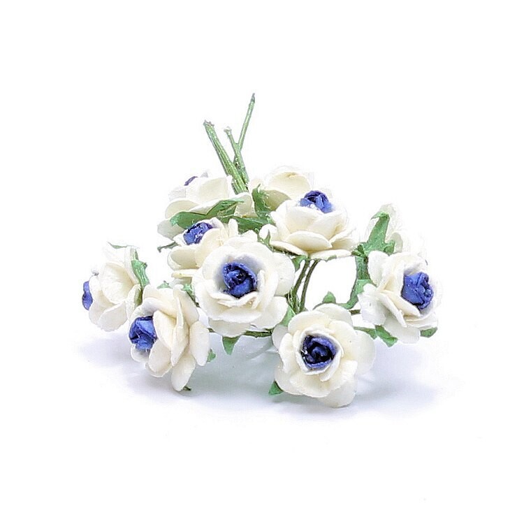 Blumen weiße Rose mit Blau