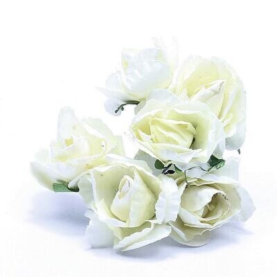 Bloemen witte roosjes