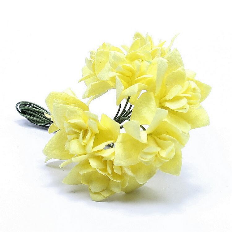Bloemen narcissen