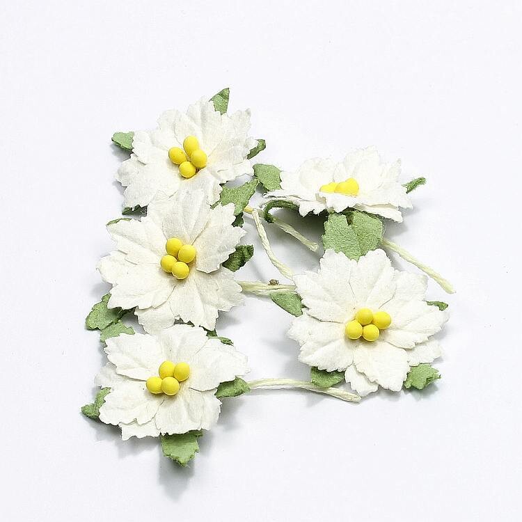 Bloemen kerstster