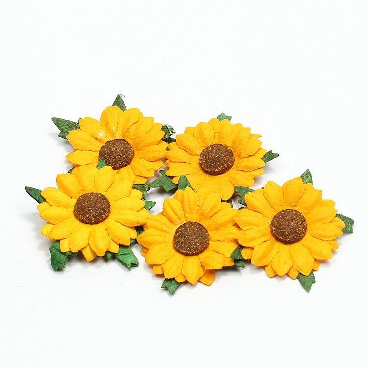 Bloemen margriet geel