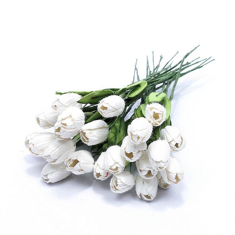 Tulpen mix wit