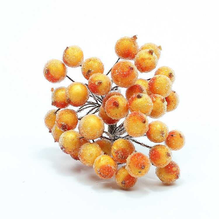 Bessen oranje gesuikerd