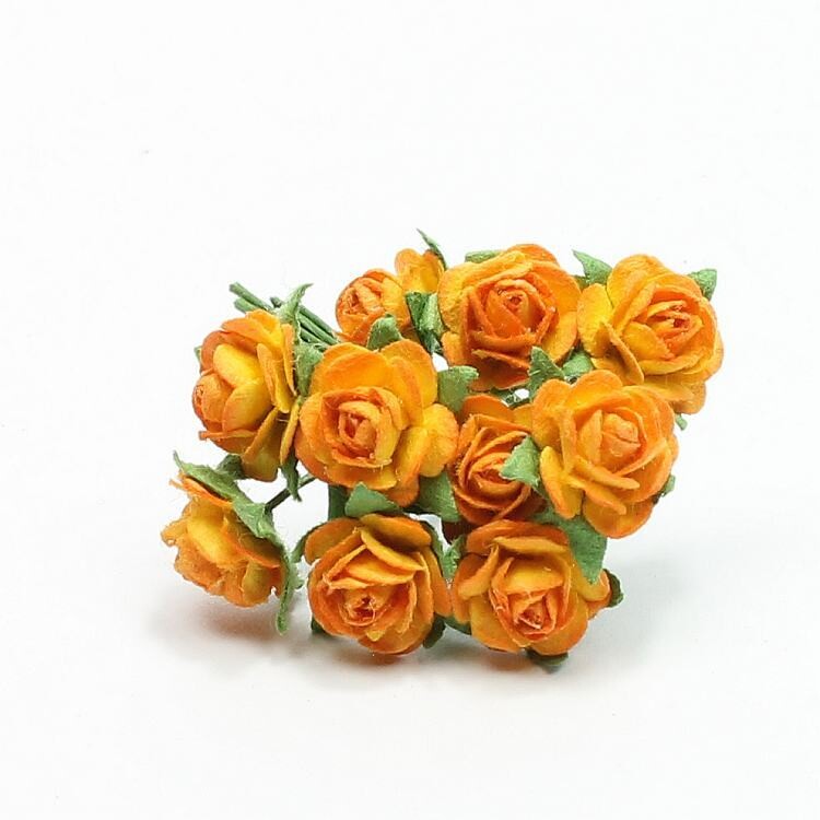 Blumen Rosen orange
