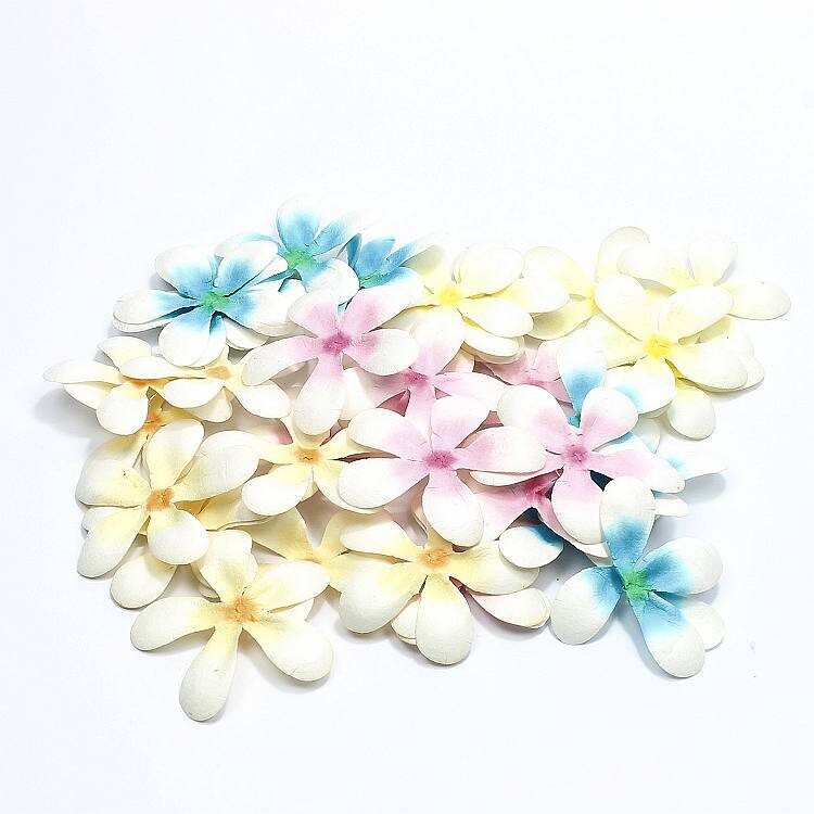 Blumen Frangipani
