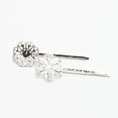 Pins zilver set