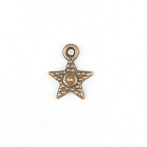 Charmes étoile bronze 5 pièces