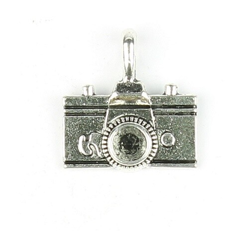 Bedels fotocamera 2 stuks