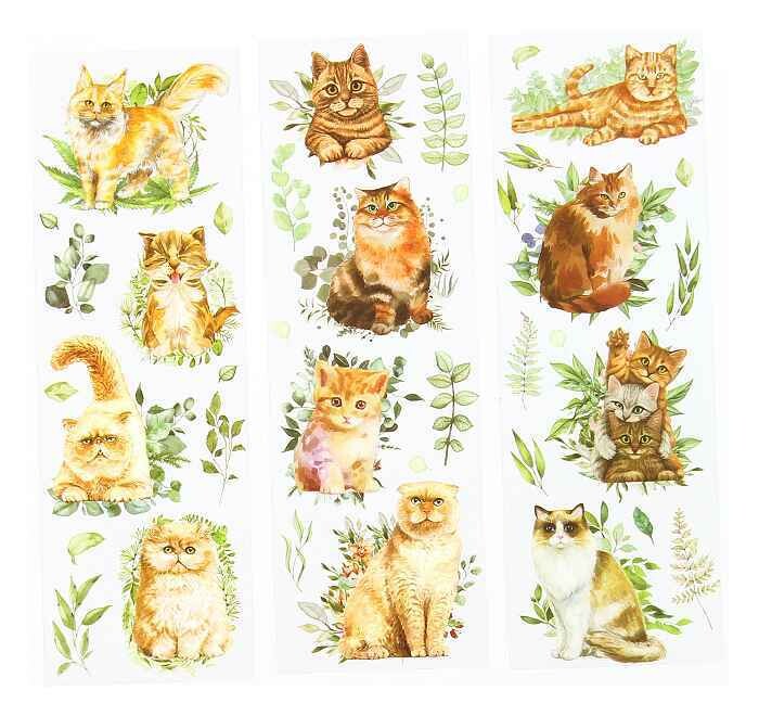 katten stickers oranje