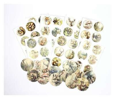 Sticker set natuur