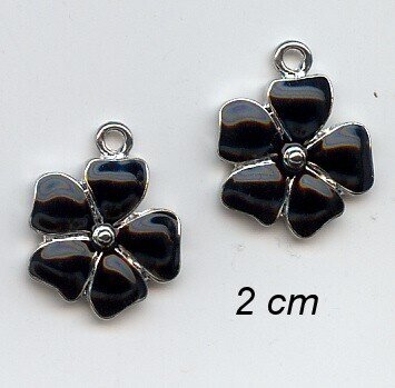 Enamel Charm 2x