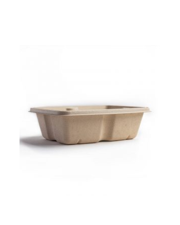 500 mL (16 oz) Bagasse Rectangular Container (600 pcs)