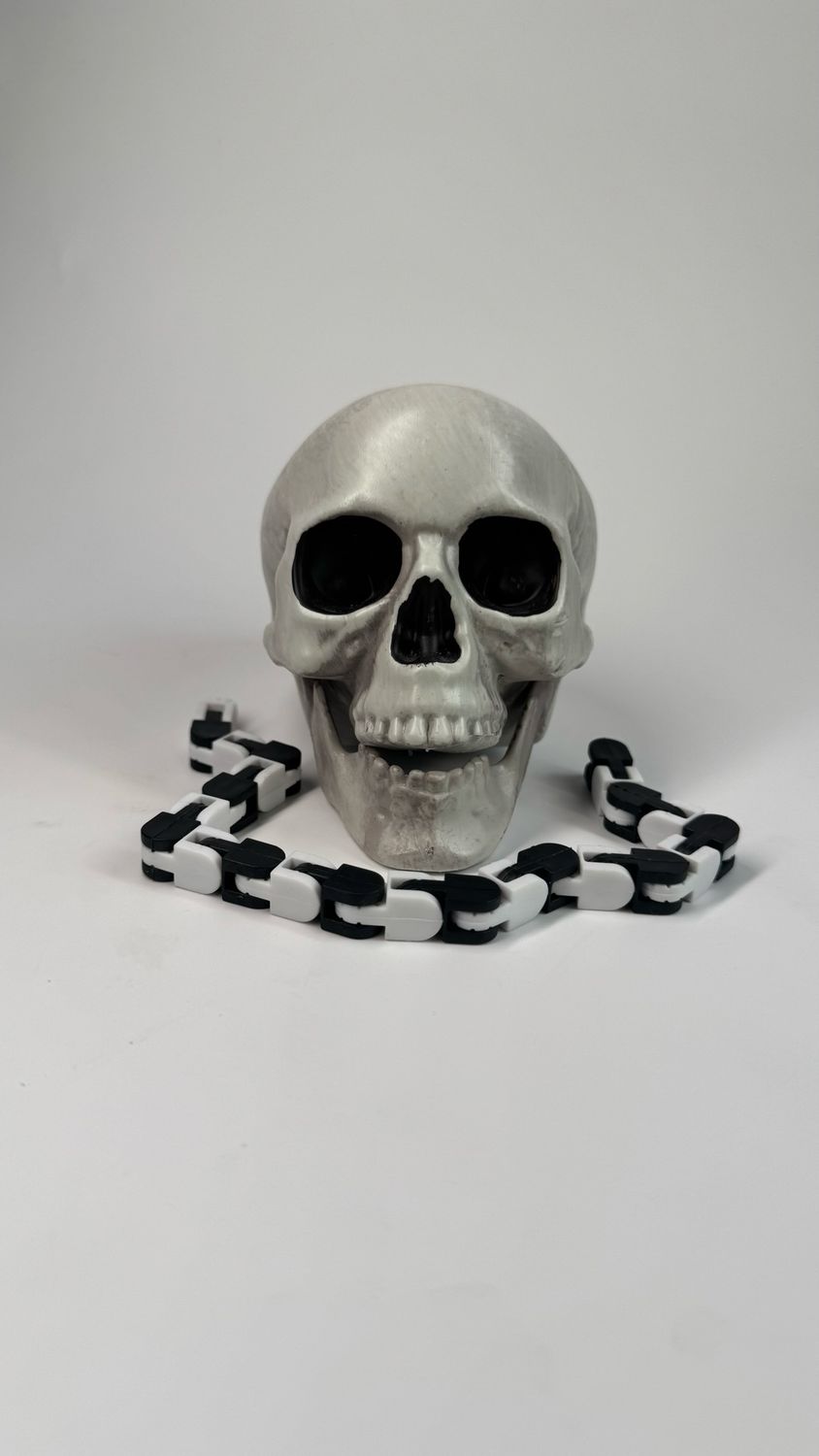 Wacky Track Fidget