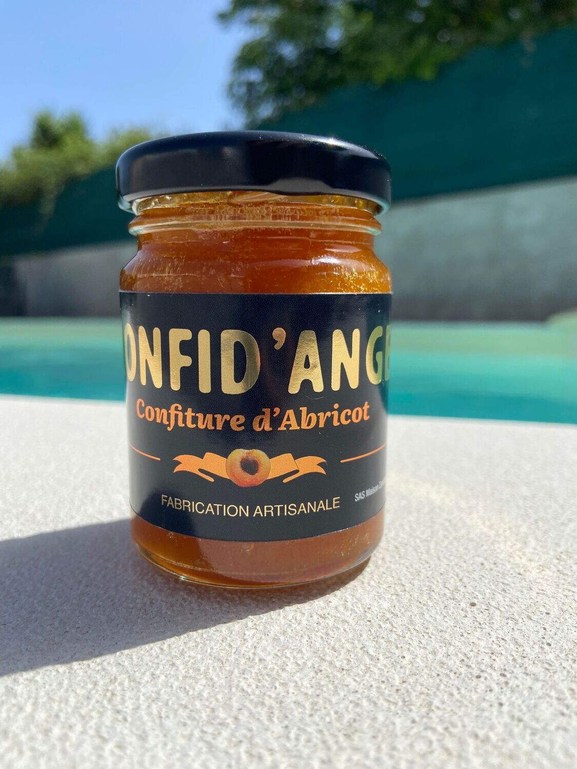 CONFITURE ABRICOT 120G