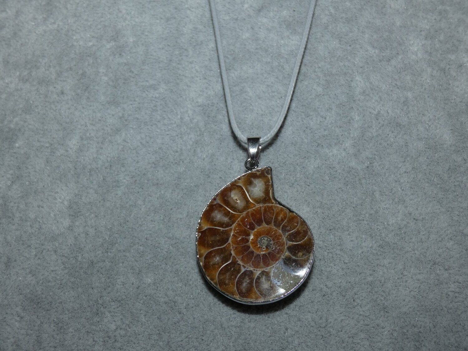 Ammonite Pendentif