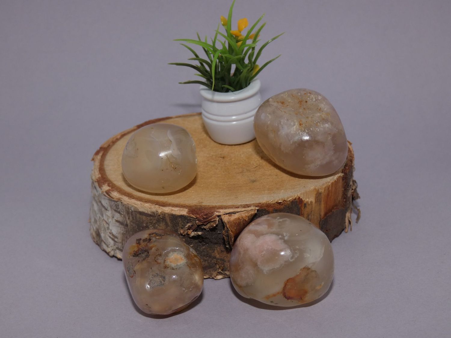 Agate Fleur de Cerisier Pierres Roulées