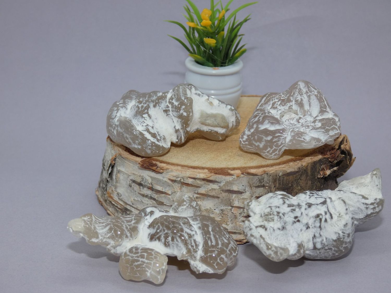 Agate Peau de serpent Pierres roulées