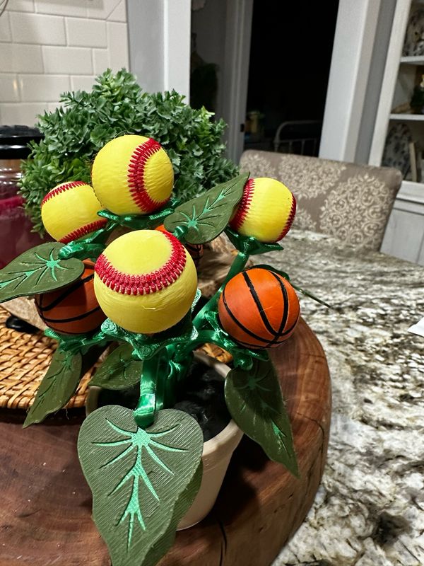 3D printed Softball/Basketball plant