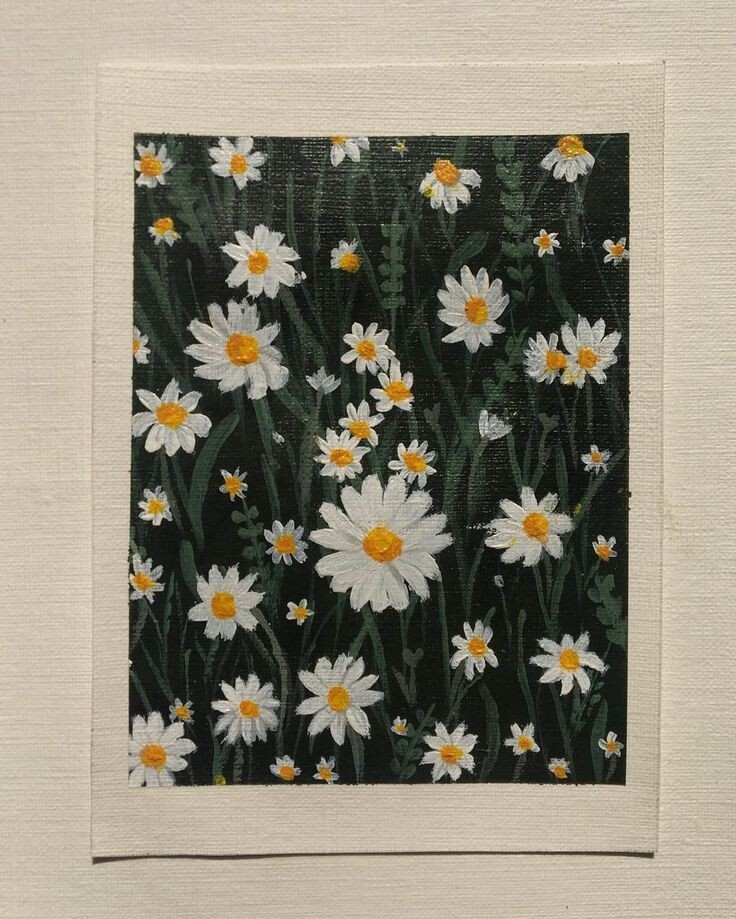 Daisy