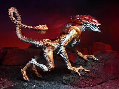 Panther alien kenner