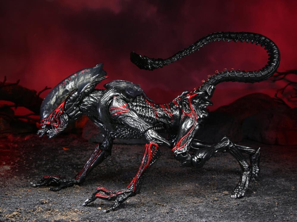 Night cougar alien kenner