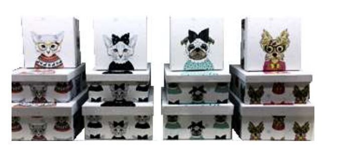 ENS DE BOITE CADEAU 3 GRAND. CHIEN/CHAT (4 ASS)