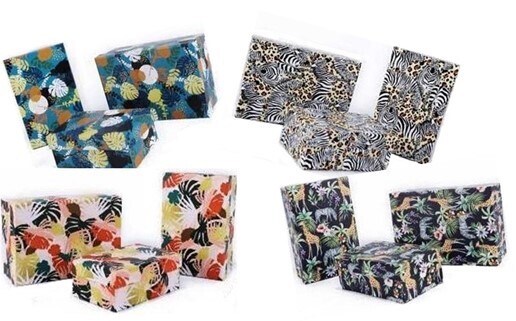 ENS DE BOITE CADEAU 3 GRAND. JUNGLE (4 ASS)