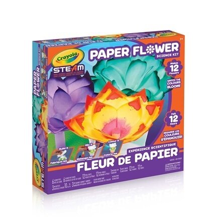 Experience scientifique fleur de papier(E8-4)